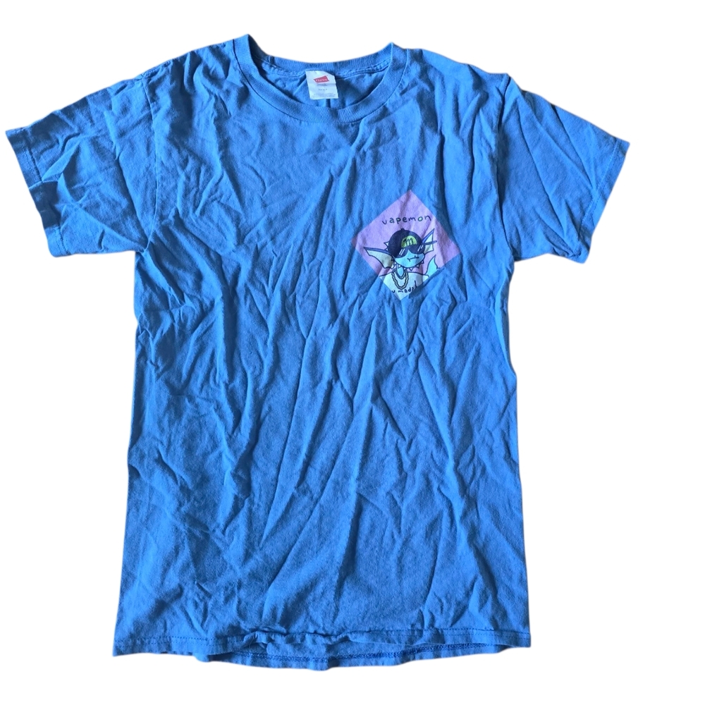 Hanes Blue Graphic T Shirt Size Small